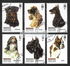 6 items, including: Afghanistan: Giant Schnauzer (Canis lupus familiaris), 2003