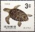 Ryukyu Islands: Hawksbill Turtle (Eretmochelys imbricata), 1966