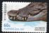 Australia: Saltwater Crocodile (Crocodylus porosus), 2012