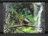 Madeira Islands: Madeiran Chaffinch (Fringilla coelebs maderensis), Forest, 2005