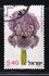 Israel: Gilboa Iris (Iris haynei), 1978
