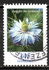 Germany, Federal Republic: Love-in-a-mist (Nigella damascena), 2018