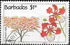 Barbados: Flamboyant (Delonix regia), 1992