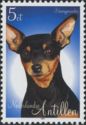 Miniature Pinscher (Canis lupus familiaris)