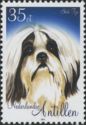 Shih Tzu (Canis lupus familiaris)