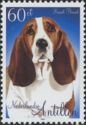 Basset Hound (Canis lupus familiaris)
