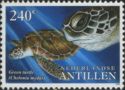 Green Sea Turtle (Chelonia mydas)