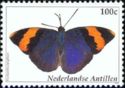 Gold-banded Forester (Euphaedra neophron)