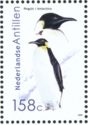 Emperor Penguin (Aptenodytes forsteri)