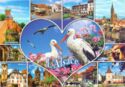 In Alsace, Storks Country