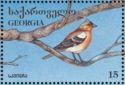 Common Chaffinch (Fringilla coelebs)