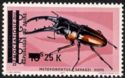 African Red Stag Beetle (Metopodontus savagei) - Surcharged