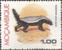 Honey Badger (Mellivora capensis)