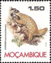 Ground Pangolin (Smutsia temminckii)