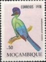Purple-crested Turaco (Tauraco porphyreolophus)