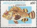 Mozambique Scorpionfish (Scorpaena mossambica)