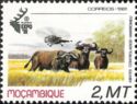 African Buffalo (Syncerus caffer), Helicopter
