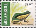 Marbled Reed Frog (Hyperolius marmoratus)