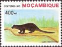 Spot-necked Otter (Lutra maculicollis)