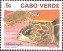 Green Sea Turtle (Chelonia mydas)