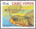 Loggerhead (Caretta caretta)