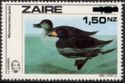 Black Scoter (Melanitta americana) - Surcharged