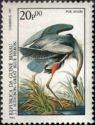 Great Blue Heron (Ardea herodias)