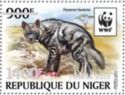 Striped Hyaena (Hyaena hyaena) - Silvered Overprint