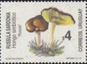 Russula sardonia ("Rusula")