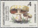 Agaricus xanthodermus ("Hongo agarico")