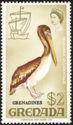 Brown Pelican (Pelecanus occidentalis) - Overprinted