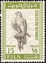 Saker Falcon (Falco cherrug)