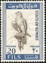Saker Falcon (Falco cherrug)