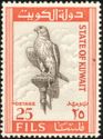 Saker Falcon (Falco cherrug)