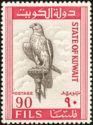 Saker Falcon (Falco cherrug)