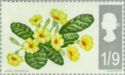 Primroses (phosphor)