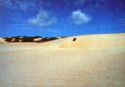 Dunes at Jacuma Lagoon - RN