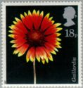 North American Blanket Flower - Gaillardia