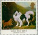 Fino and Tiny (Canis lupus familiaris)