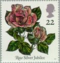 "Rosa" Silver Jubilee