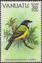 Golden Whistler (Pachycephala pectoralis cucullata)