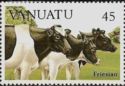 Friesian Dairy Cows (Bos primigenius taurus)