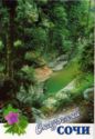 Sochi. Canyon of the river Psakho