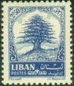 Lebanon Cedar (Cedrus libani)