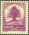 Lebanon Cedar (Cedrus libani)