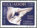 Galapagos Dolphin