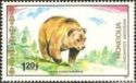 Himalayan Brown Bear (Ursus arctos isabellinus)