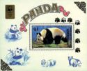 Giant Panda (Ailuropoda melanoleuca)
