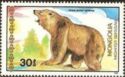 Syrian Brown Bear (Ursus arctos syriacus)