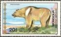 Tibetan Blue Bear (Ursus arctos pruinosis)